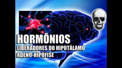 Hormônios Liberadores: Hipotálamo e Hipófise | Sistema Endócrino | Anatomia Humana | Vídeo Aula 158