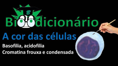 A cor das células(Bioodicionário): basofilia, acidofilia, cromatina frouxa e densa