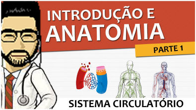 Sistema Circulatório 01 - Introdução e Anatomia - Parte 1 (Vídeo Aula)