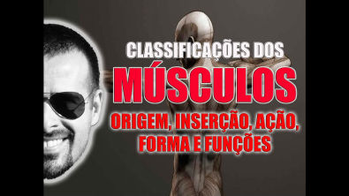 Classificação dos músculos quanto à origem, inserção, ação, forma e função - VideoAula 022