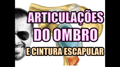 Vídeo Aula 118 - Anatomia Humana: Articulação do Ombro, Cintura Escapular e Síndrome do Impacto