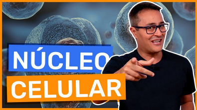 Núcleo Celular | Prof. Paulo Jubilut