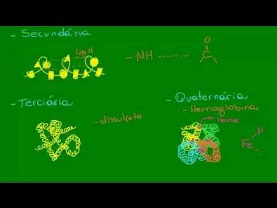 Estrutura das proteínas  - Química Orgânica - Química