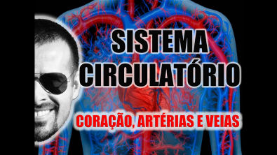 Sistema Circulatório - O coração, as artérias e as veias - Anatomia Humana - VideoAula 003