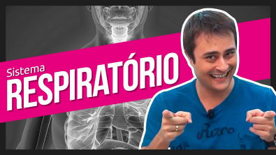 Sistema Respiratório | Fisiologia e Anatomia Humana | Prof. Paulo Jubilut