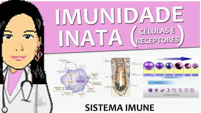 Imunologia 02 - Imunidade Inata (células e receptores) - Vídeo-aula de Sistema Imune
