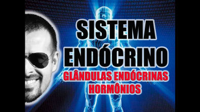 Sistema Endócrino: Glândulas endócrinas e hormônios secretados - Anatomia Humana - Vídeo Aula 033