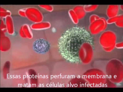 Resumo - Sistema Imune
