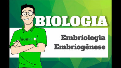 Biologia - Embriologia: Embriogênese
