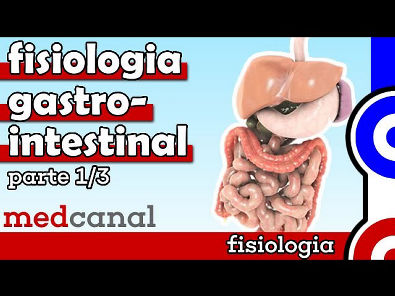 Fisiologia Gastrointestinal | FISIOLOGIA (Parte 1)