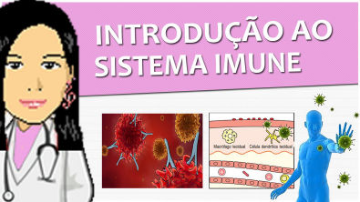 Imunologia 01 - Introdução ao Sistema Imune (imunidade passiva, ativa, inata adquirida) - Vídeo aula
