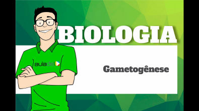Biologia - Embriologia - Gametogênese