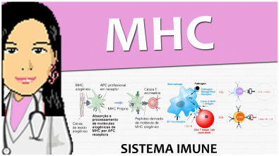 Imunologia 07 - (MHC) Complexo Principal de Histocompatibilidade - Vídeo-aula