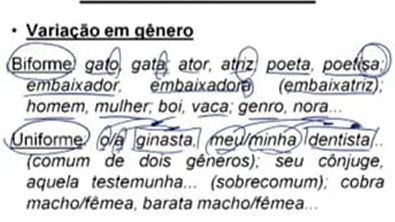 fernandopestana portugues gramatica modulo04 023