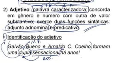 fernandopestana portugues gramatica modulo04 025