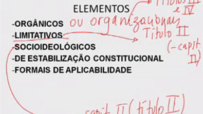 Aula 1.3   Teoria geral da constituição   Flavia Bahia
