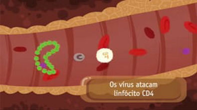 Fluxo Sanguíneo   Invasão do Vírus