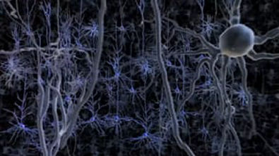 Neurônios Neurotransmissores Sistema Nervoso Cérebro Animação 3D   Música Instrumental Relax