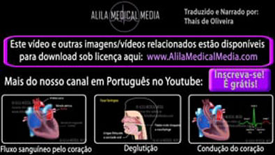Mecanismo da Dependência Química no Cérebro. Alila Medical Media Português.