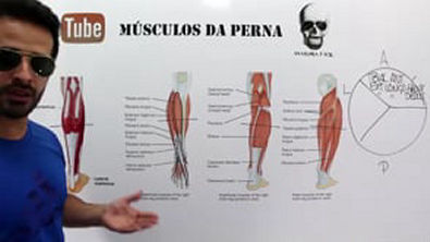 Vídeo Aula 124   Anatomia Humana   Sistema Muscular   Ação dos Músculos da Perna e Panturrilha