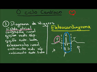 O Ciclo Cardíaco - Resumo - Fisiologia