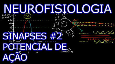 Neurofisiologia - Sinapses #2 - Potencial de Ação [Teoria da Medicina]