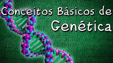 Genética Princípios Básicos - Genótipo Fenótipo Gene Dominante e Recessivo - Aula Grátis Biologia