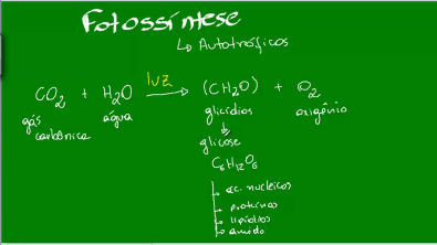 Fotossíntese - Reação Química Principal