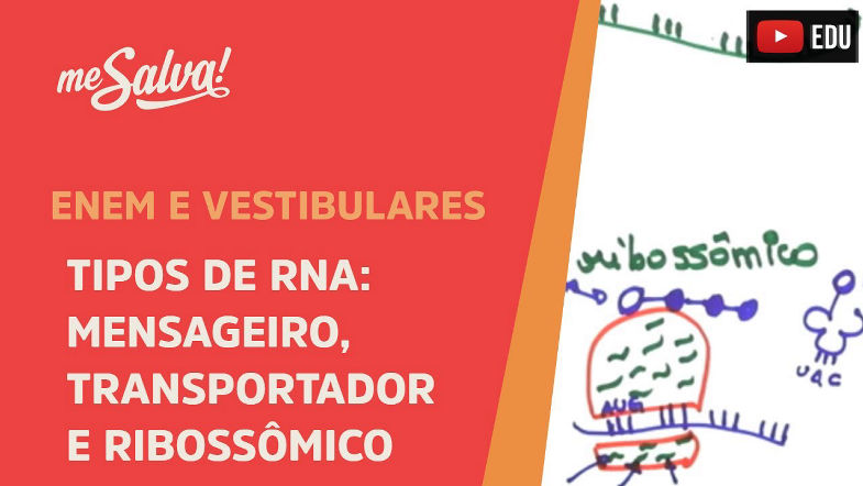 Me Salva! GEN05 - Tipos de RNA: mensageiro, transportador e ribossômico