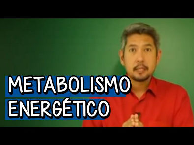 Metabolismo Energético: Respiração Celular