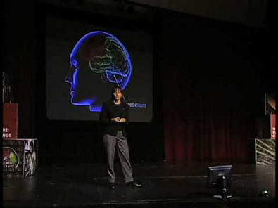 Stanford Construindo um Diagrama de Circuitos para o Cérebro (Jennifer Ray)