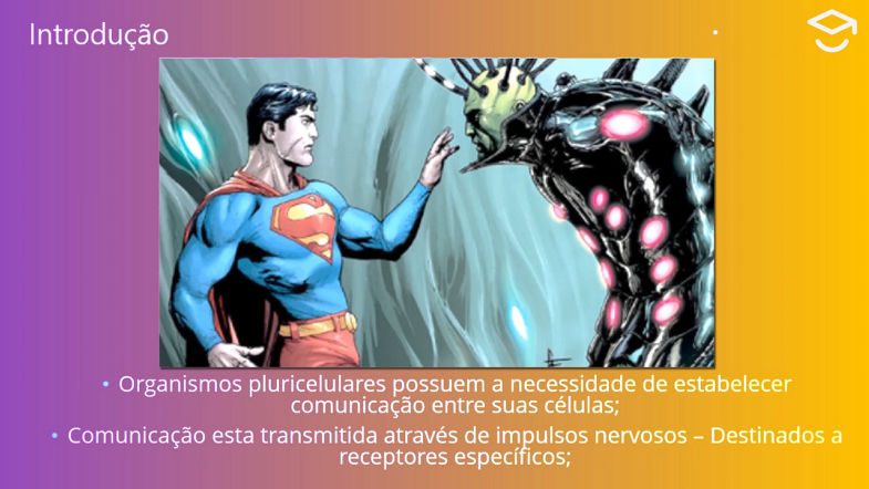 Sistema nervoso - Teoria