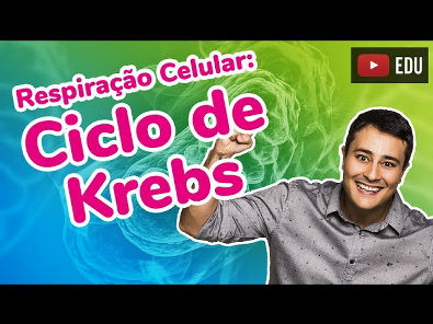 Respiração Celular - Parte 2 - Ciclo de Krebs - Prof. Paulo Jubilut