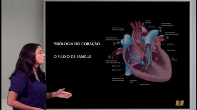 Fisiologia cardiovascular - Teoria (parte 1)