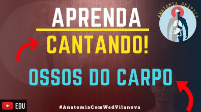 APRENDA ANATOMIA CANTANDO! OSSOS DO CARPO!
