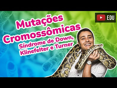 Mutações Cromossômicas - Síndrome de Down, Klinefelter e Turner - Prof. Paulo Jubilut