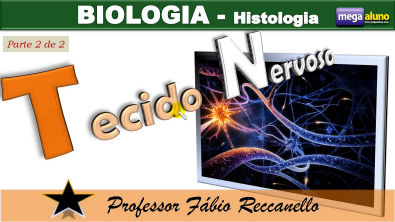Tecido Nervoso (parte 2 de 2) - impulso nervoso e sinapses