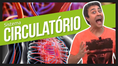 Sistema Circulatório | Prof. Paulo Jubilut