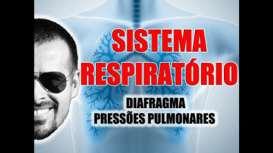 Sistema Respiratório - Diafragma e Pressões Pulmonares - Anatomia Humana - VídeoAula 020
