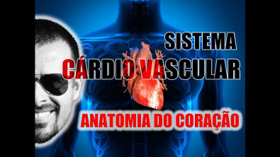 Vídeo Aula 045 - Sistema Cardiovascular: Anatomia, localização e envoltórios (camadas) do coração