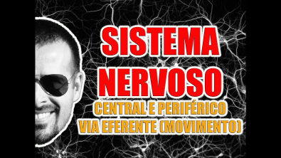Vídeo Aula 010 - Sistema Nervoso: Sistema Nervoso Central, Periférico e a via eferente (movimento)