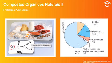Compostos orgânicos naturais: aminoácidos e proteínas - Teoria