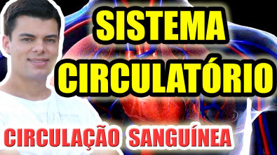 SISTEMA CIRCULATÓRIO: Fisiologia da circulação sanguínea humana