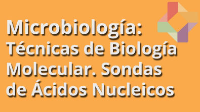 Técnicas de Biología Molecular: Sondas de Ácidos Nucleicos - Microbiología - Educatina