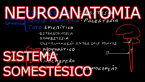 material thumbnail image