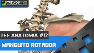 Treino em FOCO Anatomia #12 - Manguito Rotador