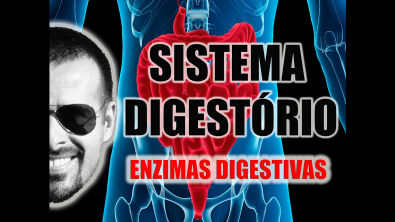Sistema Digestório - Enzimas digestivas e processos químicos da digestão - Anatomia - VideoAula 026