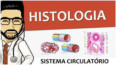 #MR03: Sistema Circulatório - Histologia