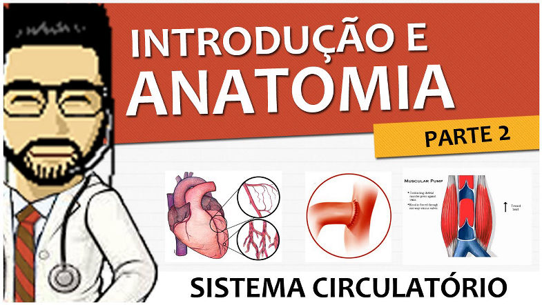 #MR02: Sistema Circulatório - Intro e Anatomia - Parte 2