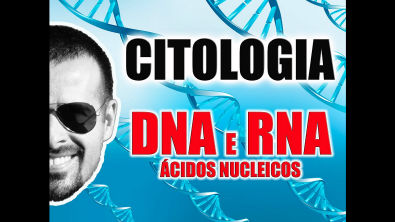 Vídeo Aula 016 - Citologia - Ácidos Nucleicos: Diferenças entre o DNA e o RNA